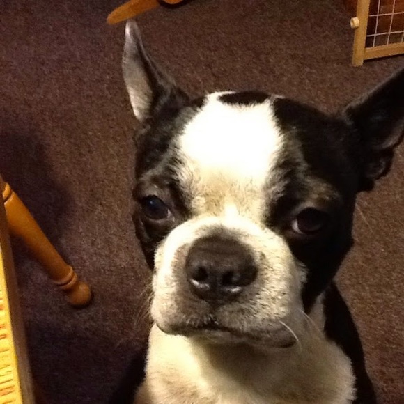 Meet your Posher, Crystal - Picture 1 of 1